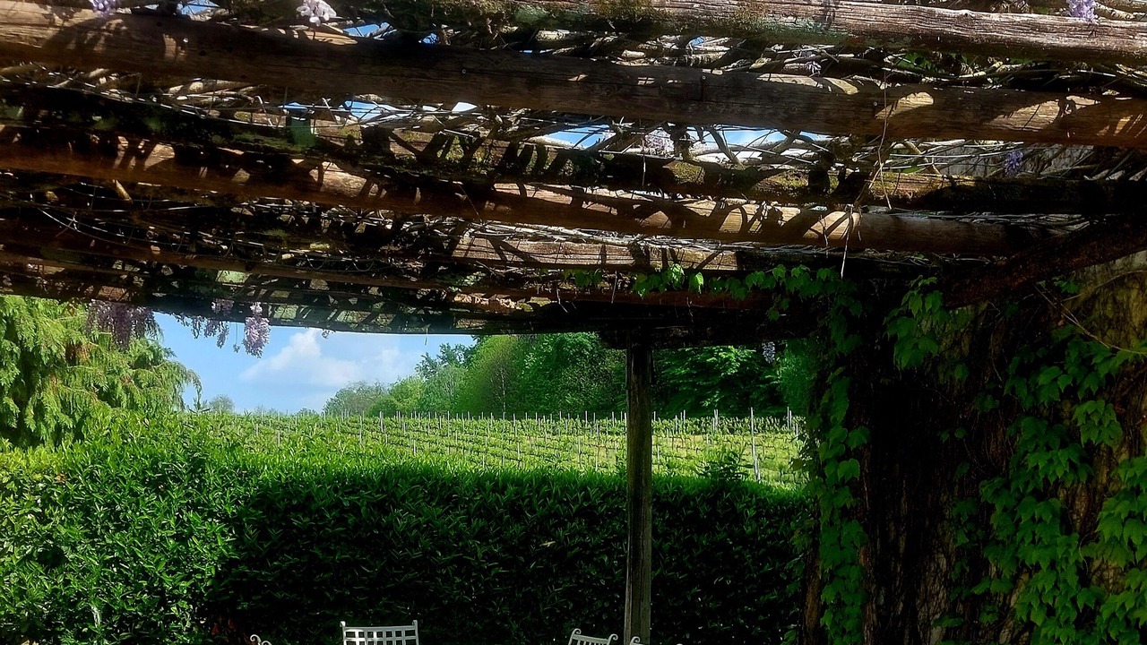 Photo of Outdoor in Venegazzu
