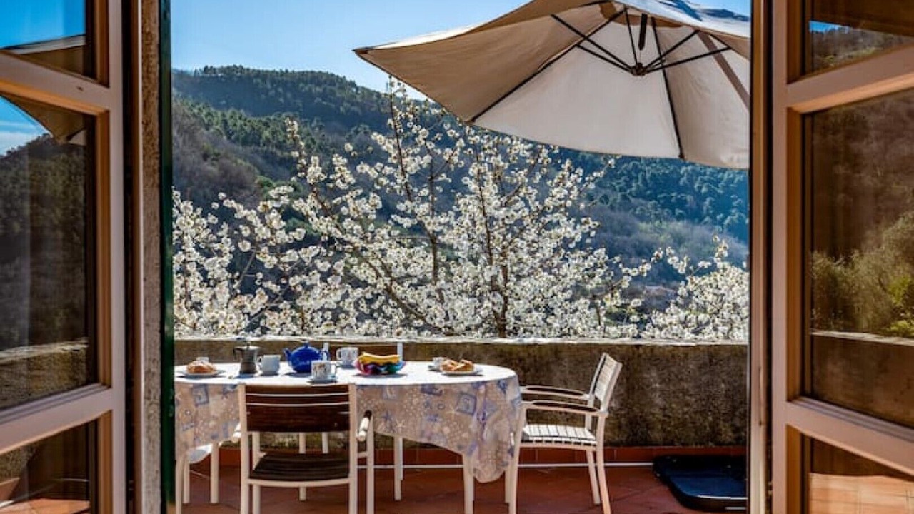 Photo of Outdoor in Carbuta