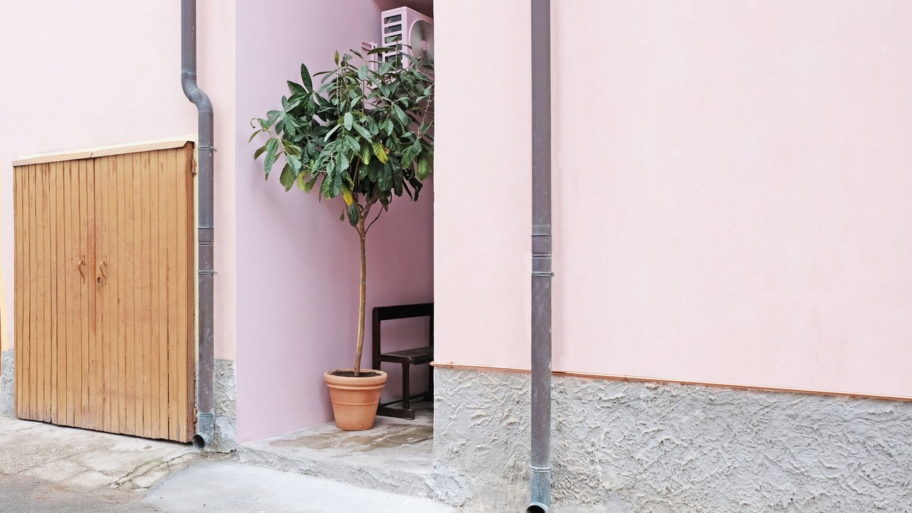 Photo of Outdoor in Est
