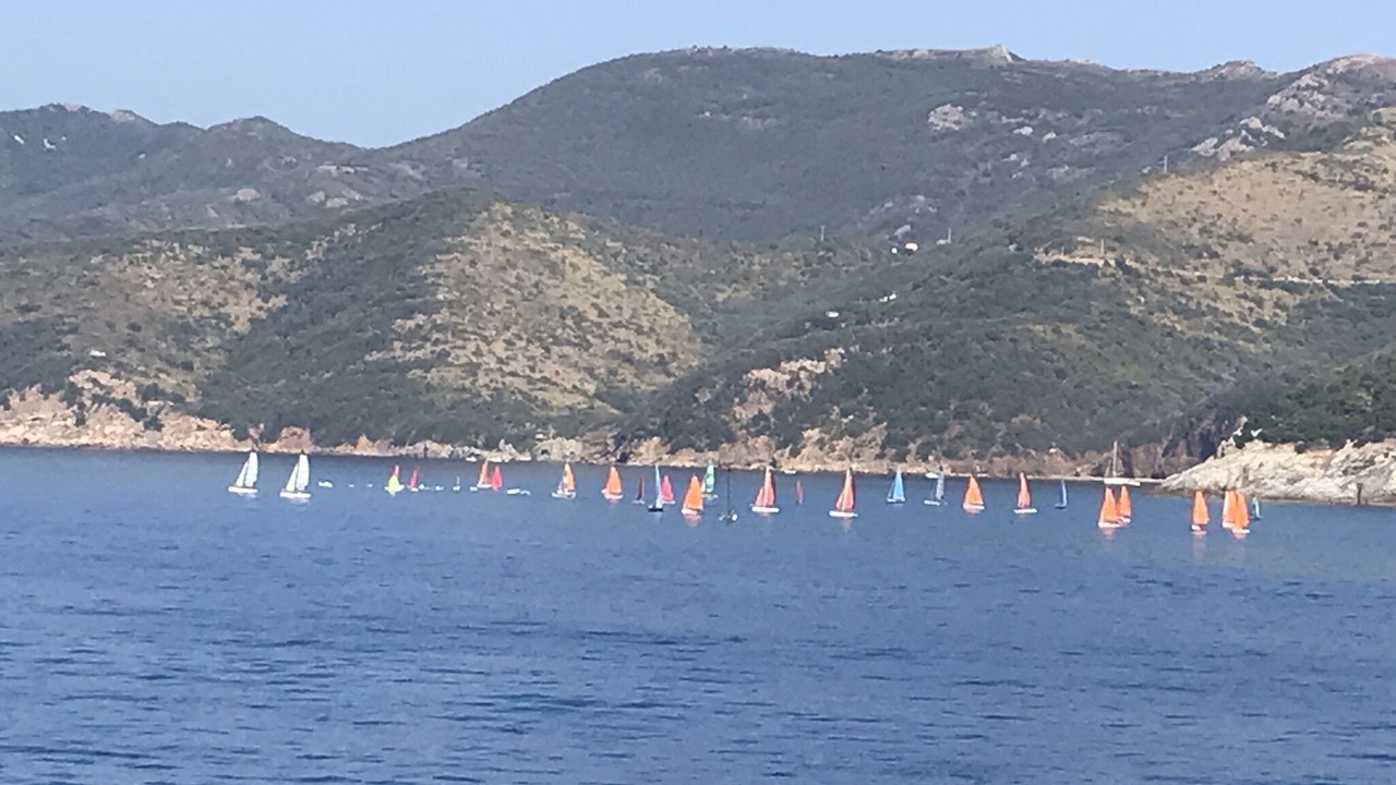 Photo of Others in Rio nell'Elba