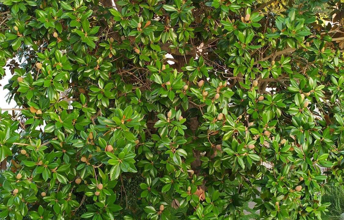 Photo of Outdoor in Sabaudia
