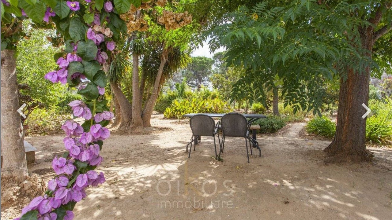 Photo of Outdoor in Oria