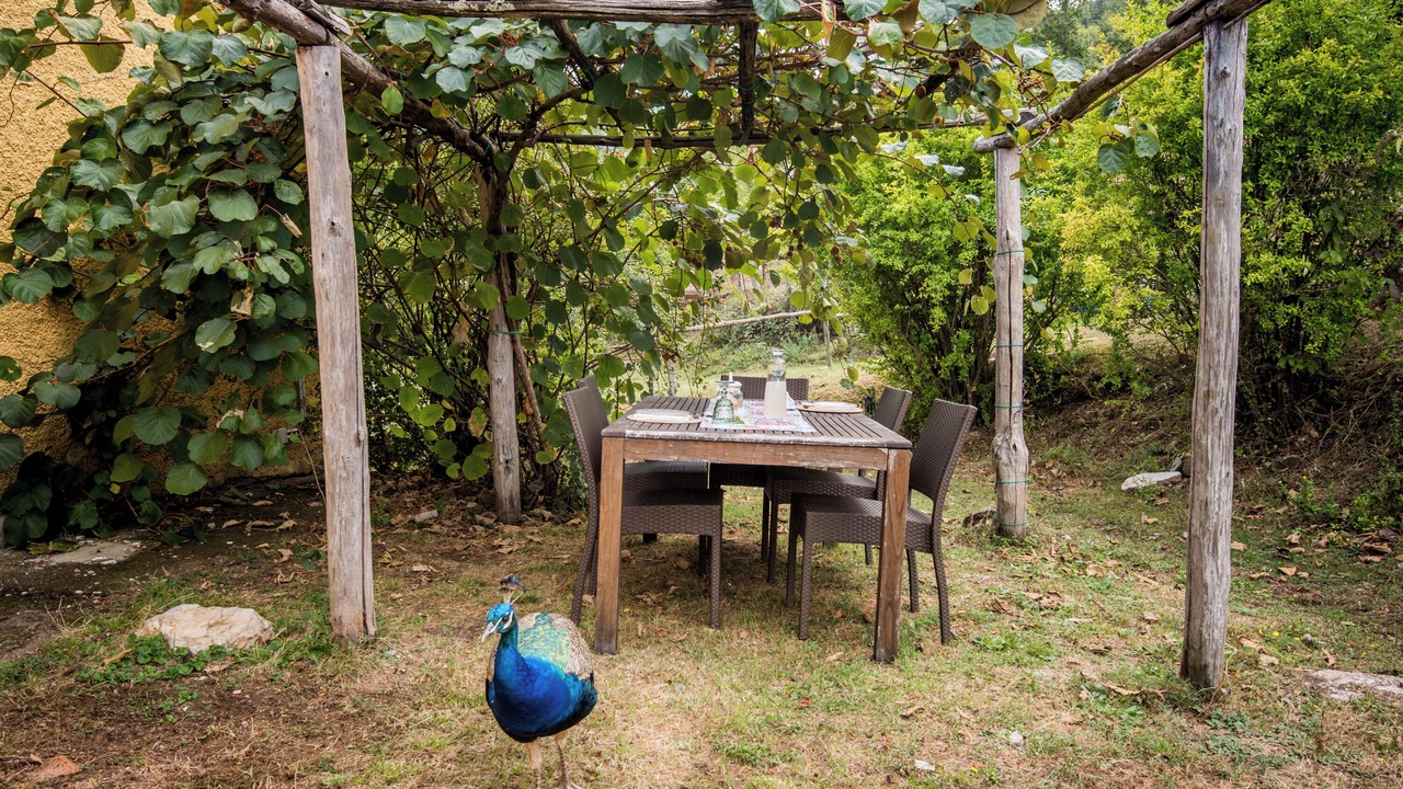 Photo of Outdoor in Montieri
