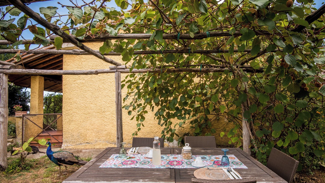 Photo of Outdoor in Montieri