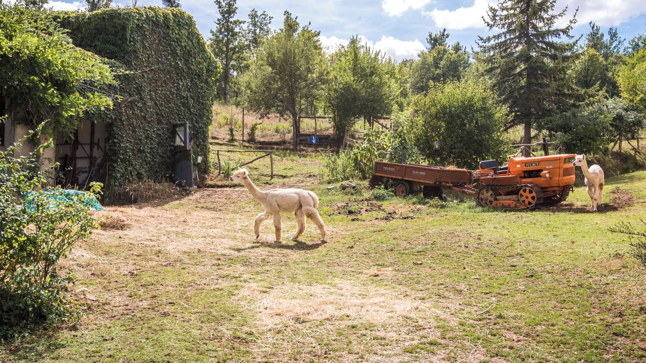 Photo of Others in Montieri