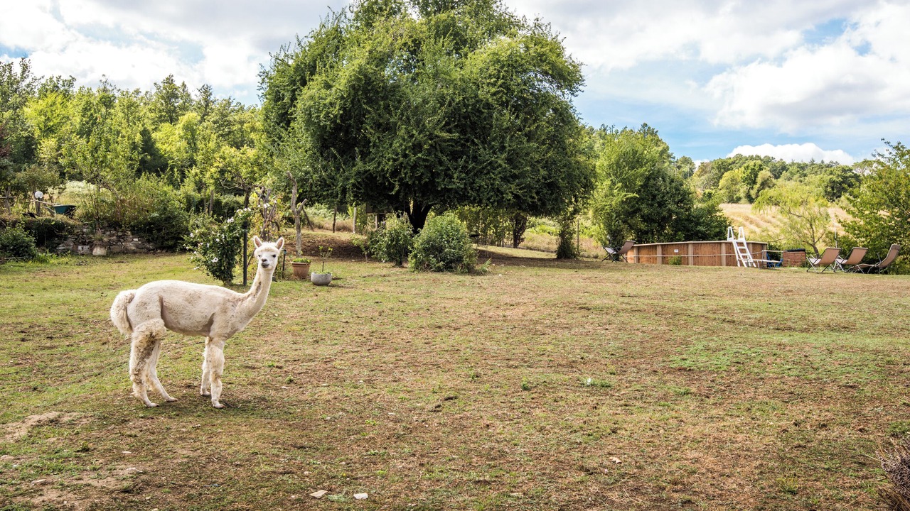 Photo of Others in Montieri