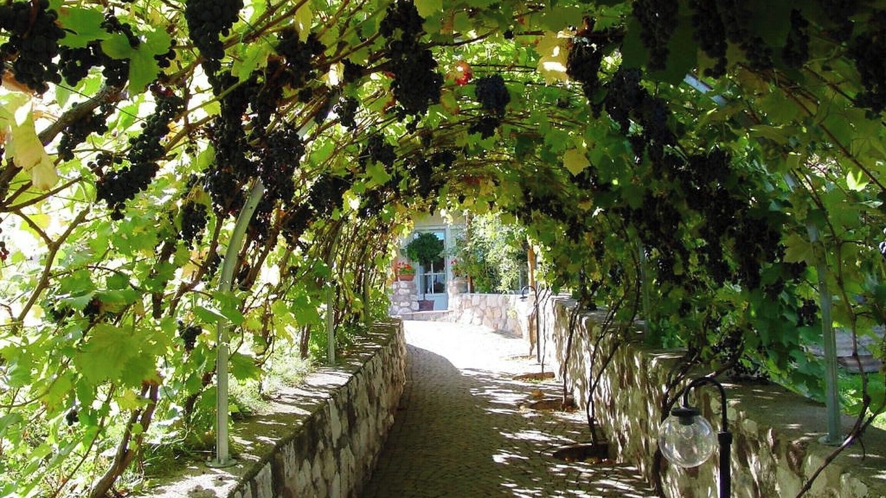 Photo of Outdoor in Caldaro Sulla Strada del Vino