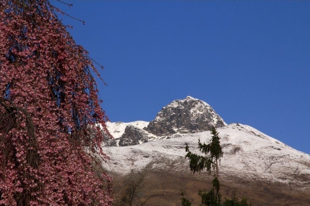 Photo of Others in Pollone