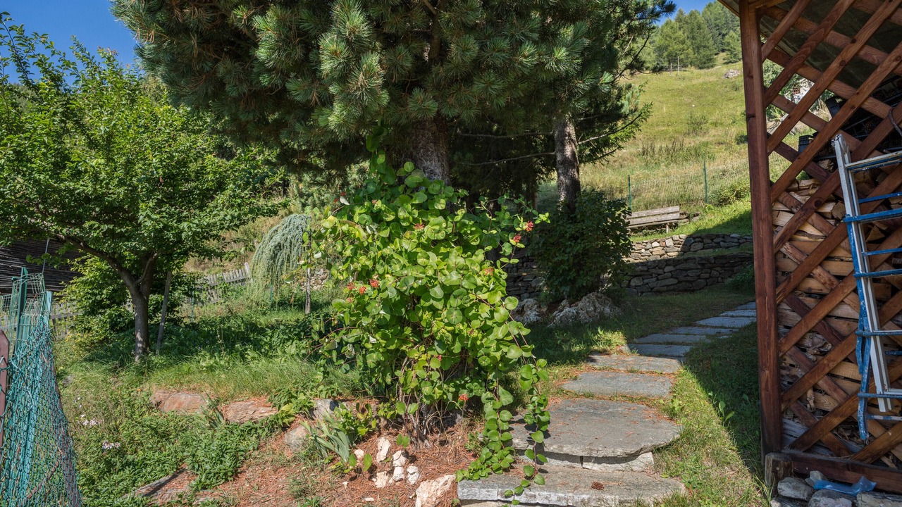 Photo of Outdoor in Peio