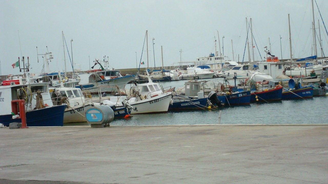 Photo of Others in Torre Grande