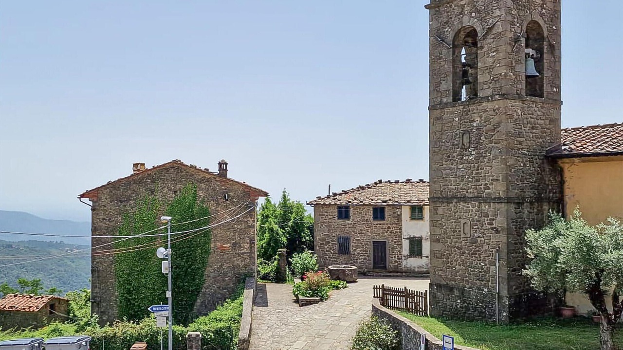 Photo of Others in Avaglio
