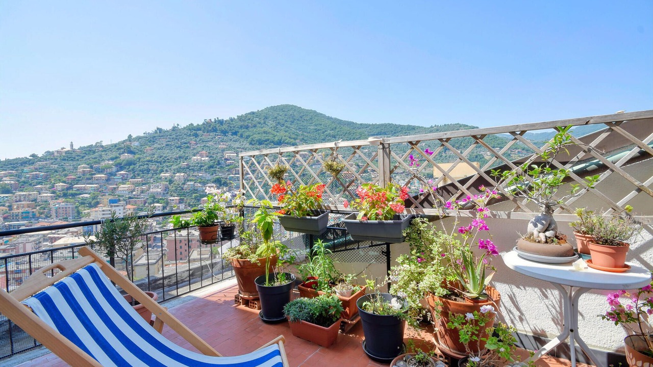 Photo of Others in Recco