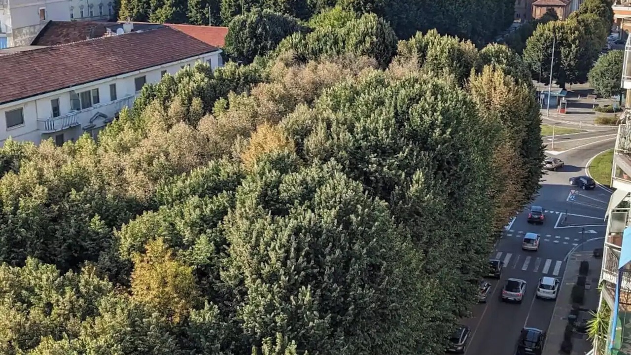 Photo of Outdoor in Vercelli