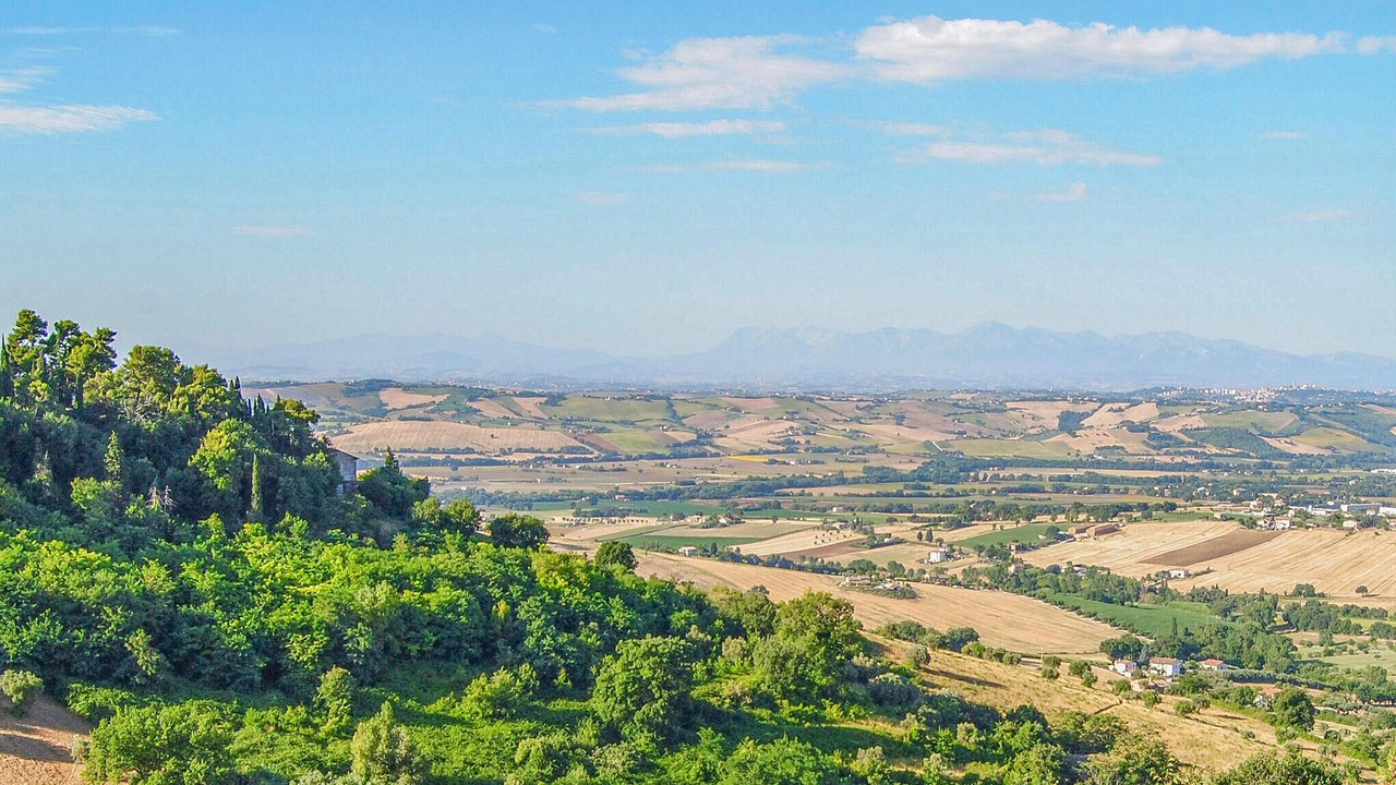 Photo of Others in Mogliano