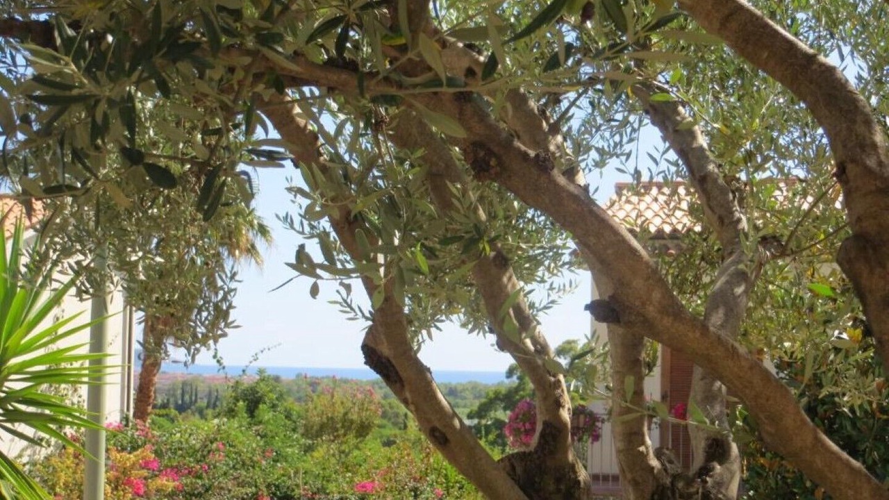 Photo of Outdoor in Marina di Maratea