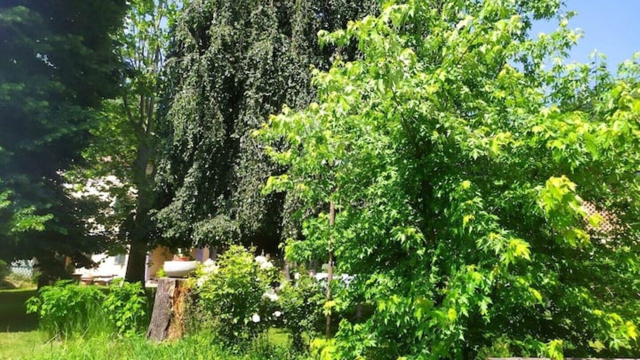 Photo of Others in Belveglio