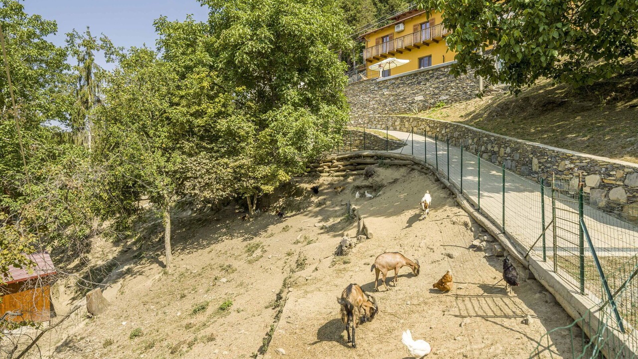 Photo of Outdoor in Tribogna