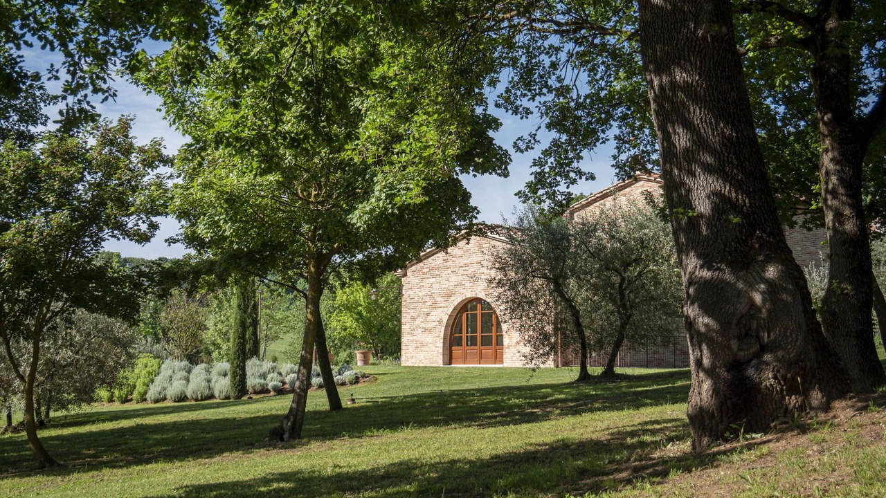 Photo of Outdoor in Foiano della Chiana