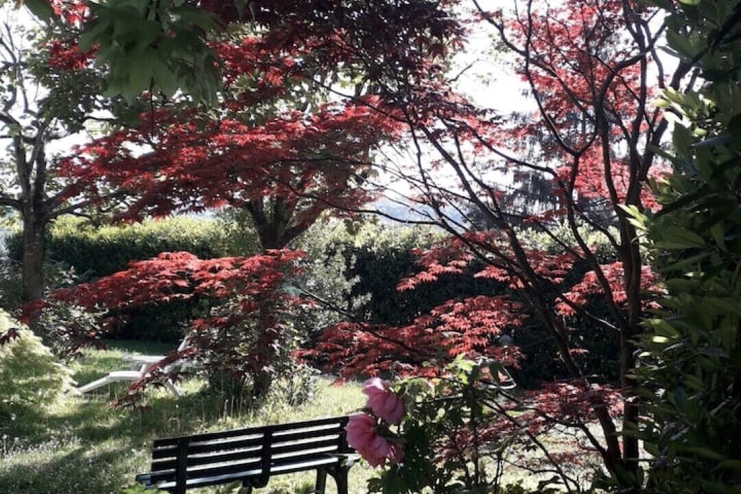 Photo of Outdoor in Morsasco