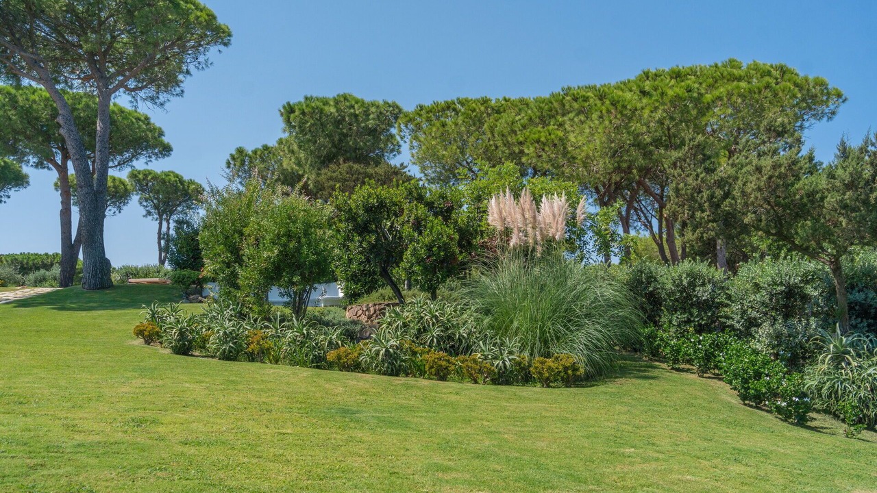 Photo of Others in Capo Coda Cavallo