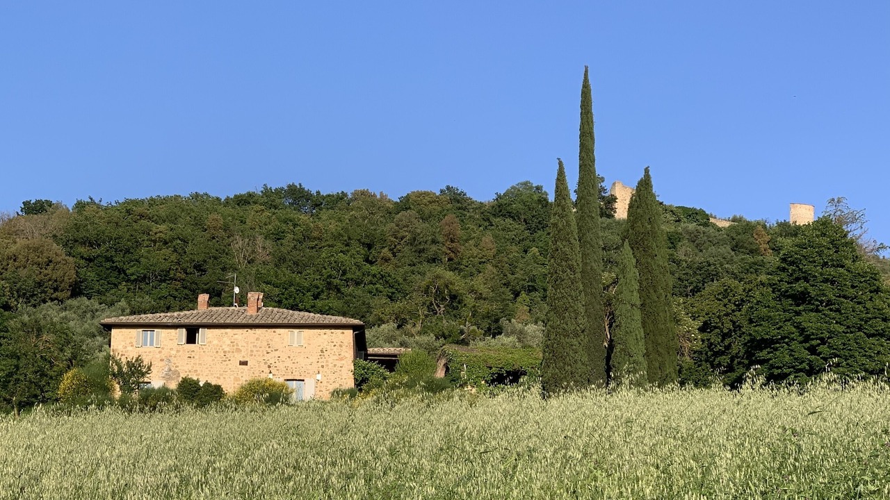 Photo of Outdoor in Pienza