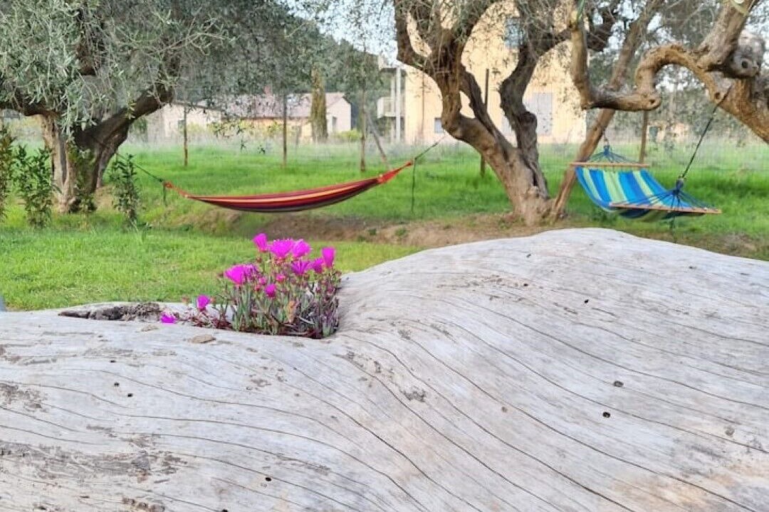 Photo of Outdoor in Quercianella