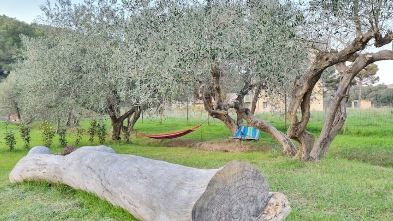 Photo of Others in Quercianella