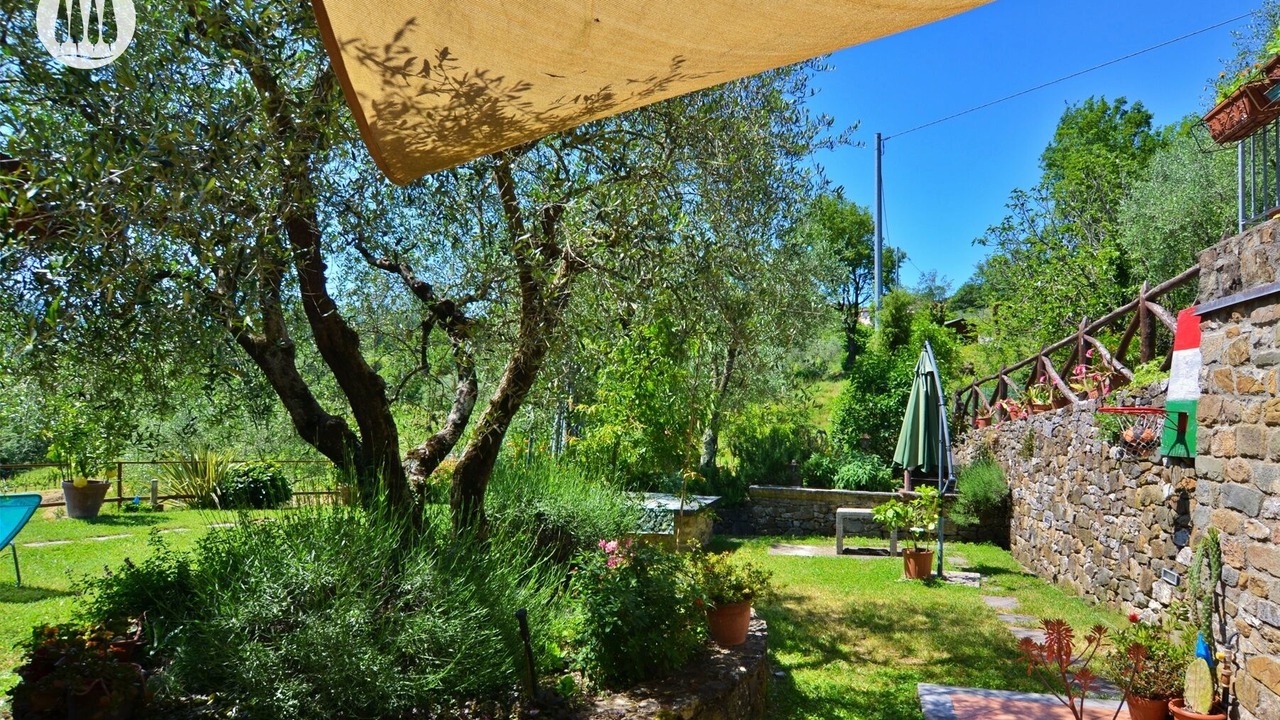 Photo of Outdoor in Mologno