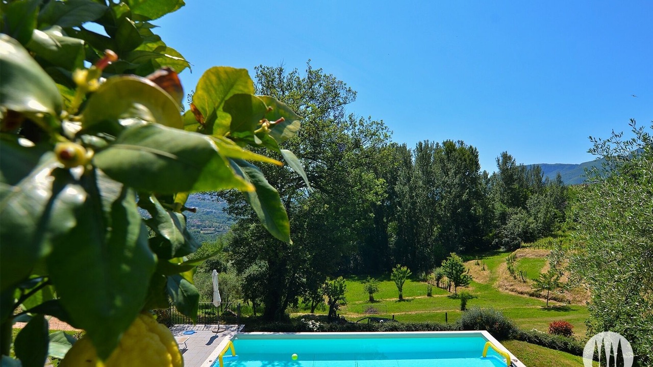 Photo of Outdoor in Mologno