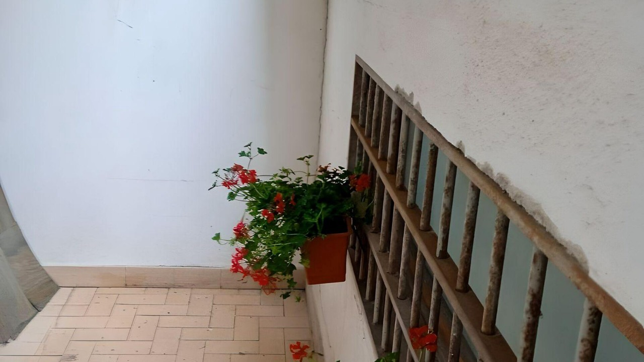 Photo of Outdoor in Castiglione dei Pepoli