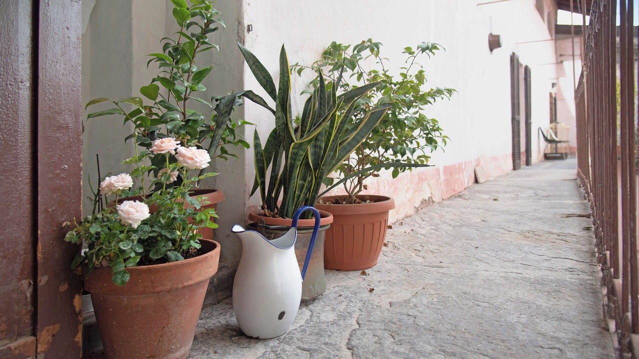 Photo of Outdoor in Casalzuigno