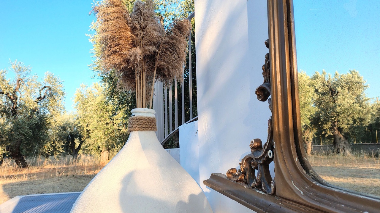 Photo of Outdoor in Mattinata