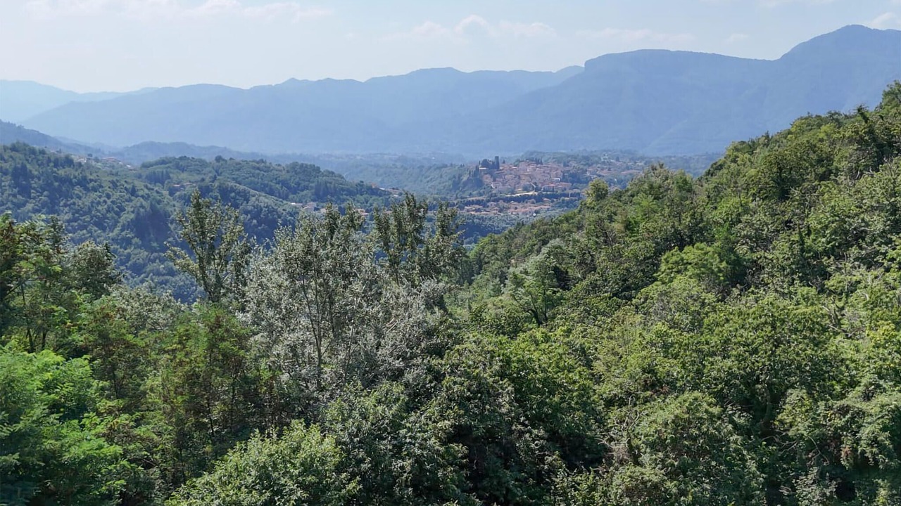 Photo of Bedroom in Barga