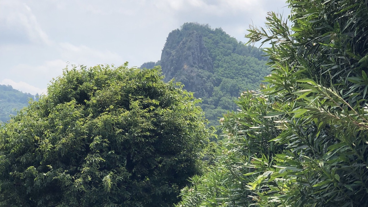 Photo of Outdoor in Teolo