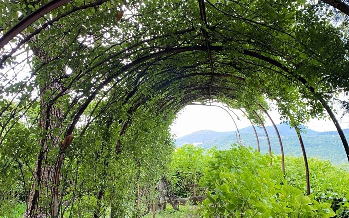 Photo of Outdoor in Teolo
