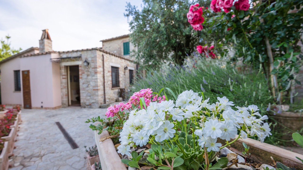 Photo of Outdoor in Loreto