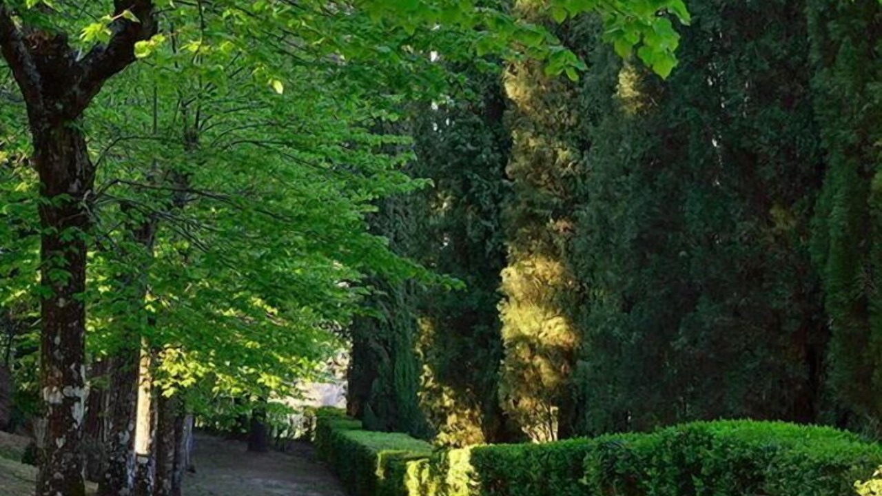 Photo of Patio Balcony in Macciano