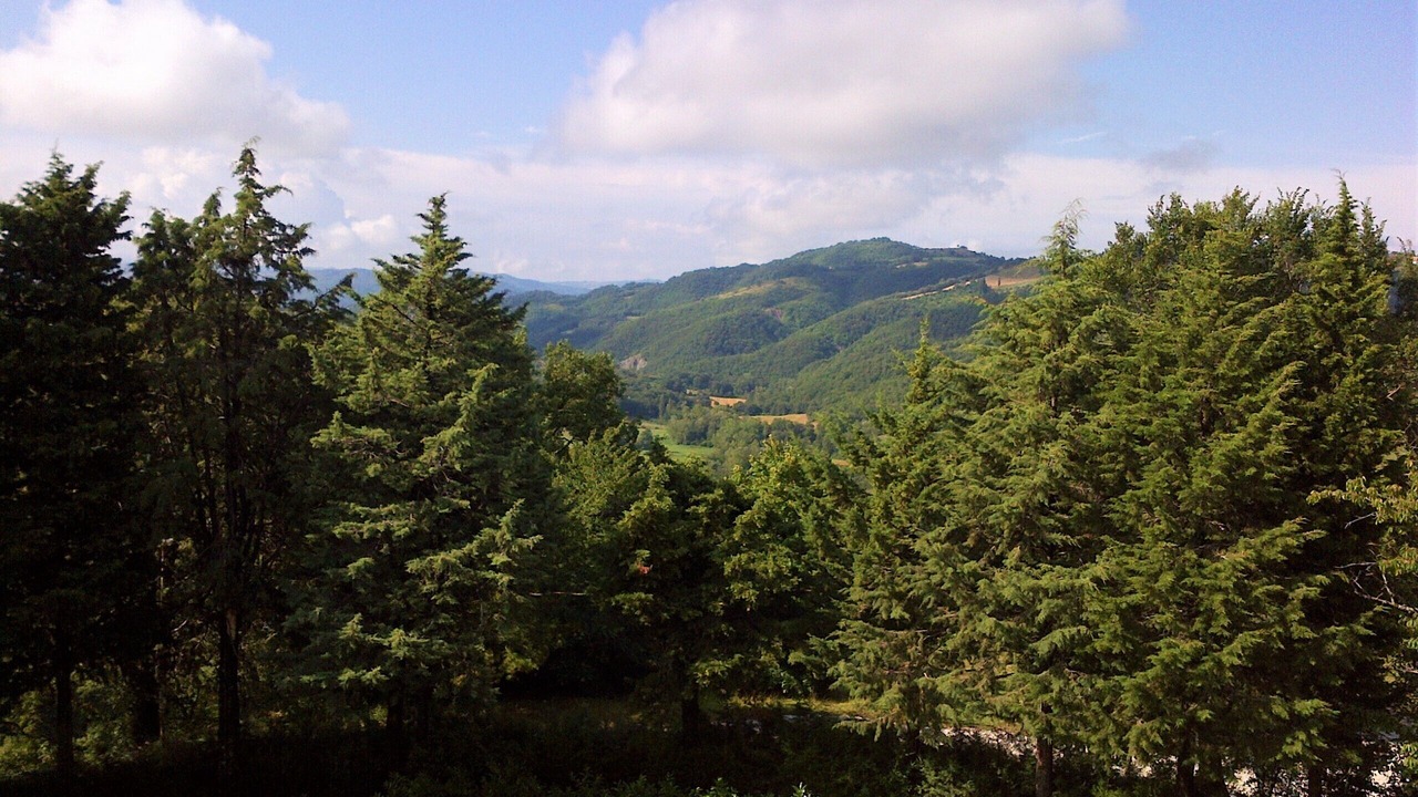Photo of Others in Nerbisci