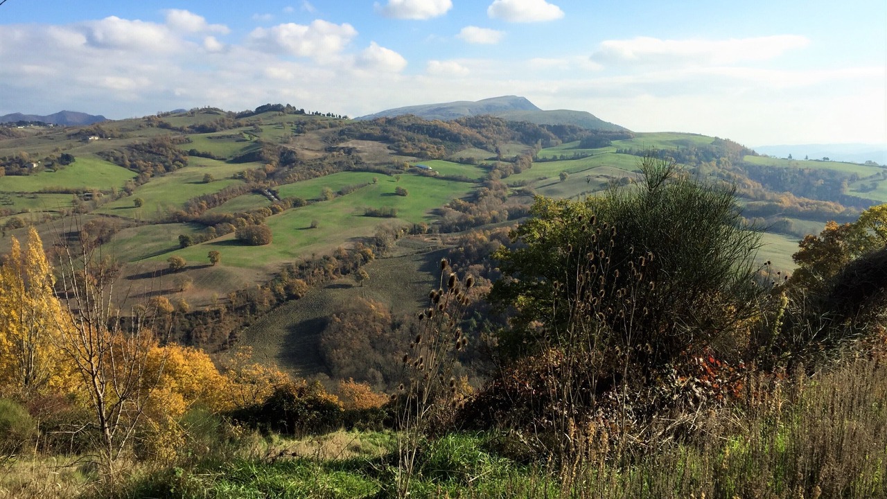 Photo of Outdoor in Nerbisci