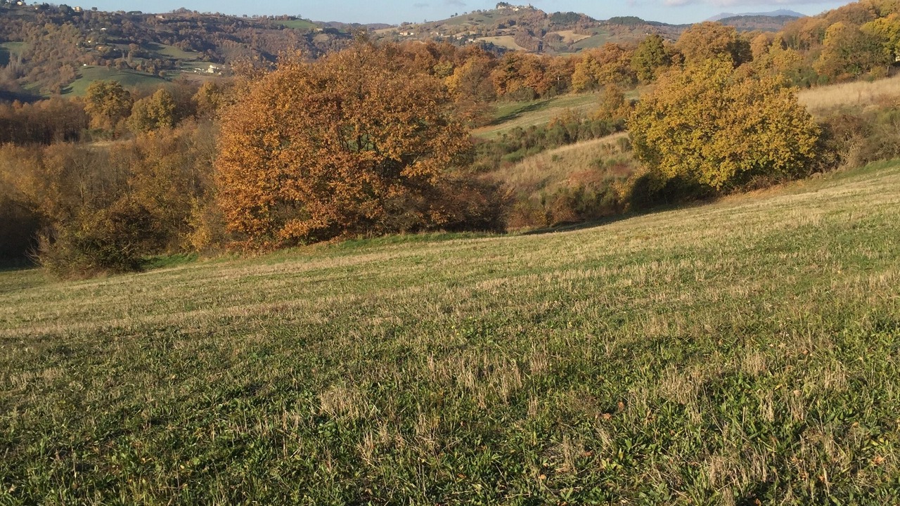 Photo of Others in Nerbisci