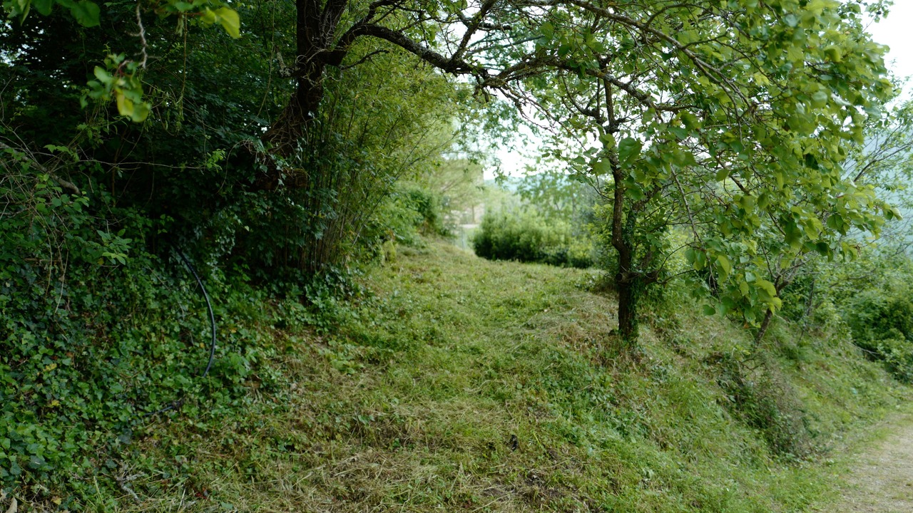 Photo of Others in Montieri