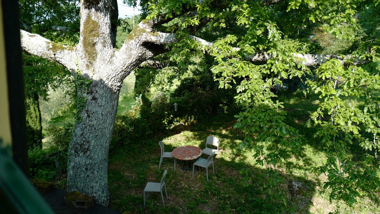 Photo of Outdoor in Montieri