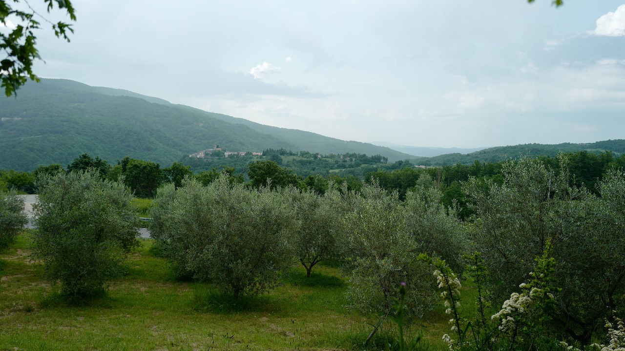 Photo of Others in Montieri