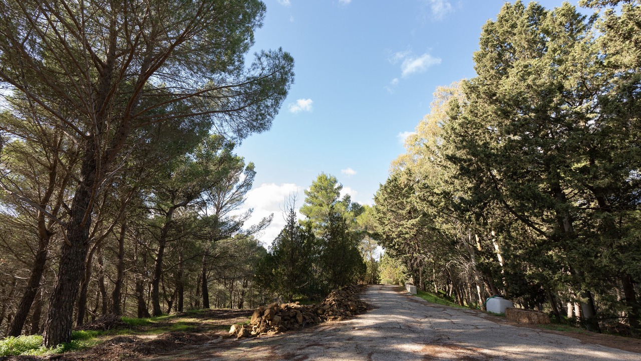 Photo of Others in Camporeale