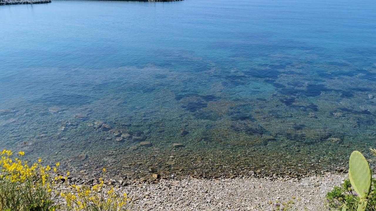 Photo of Others in Marina di Casal Velino