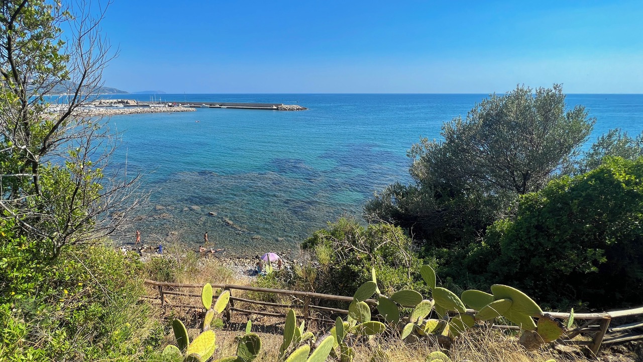 Photo of Others in Marina di Casal Velino