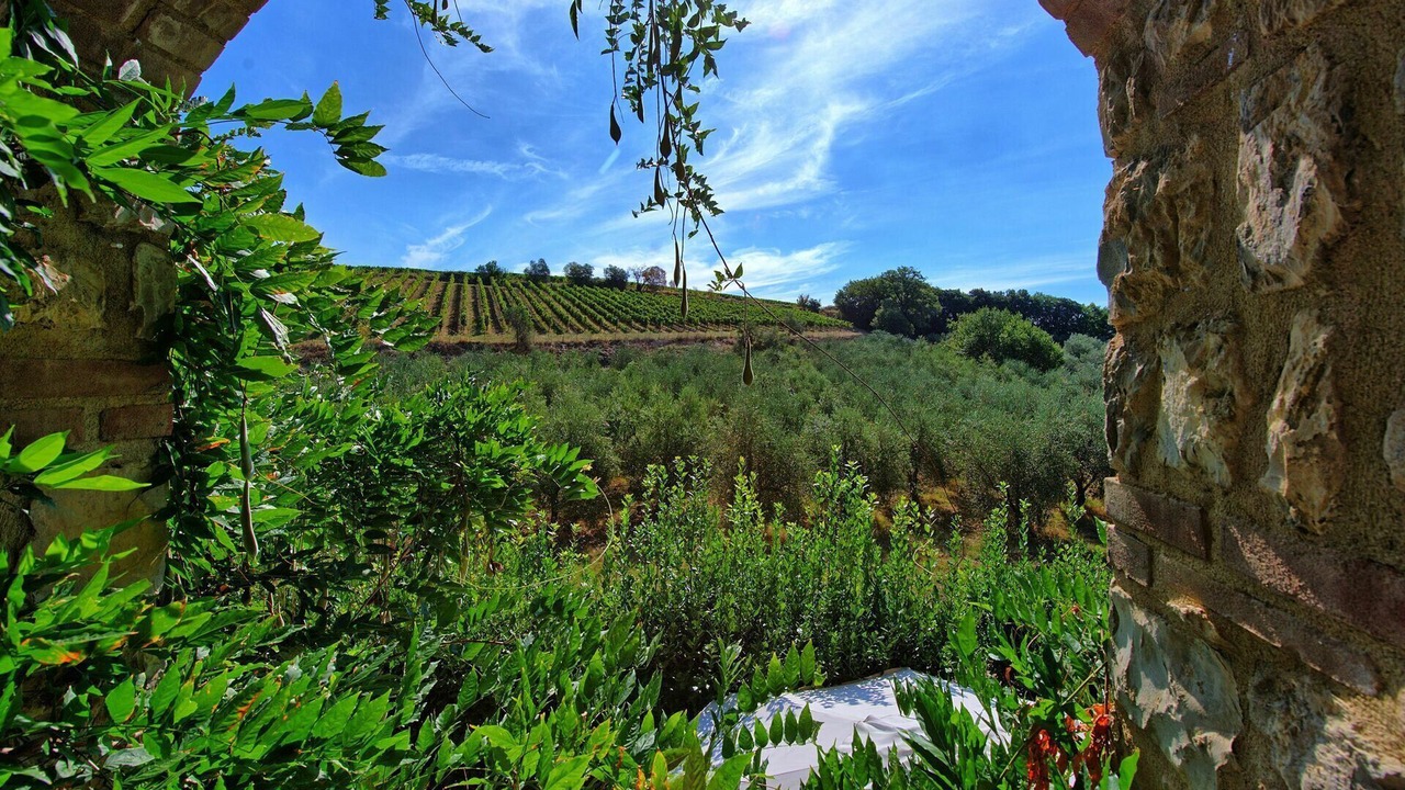 Photo of Outdoor in Villa A Sesta