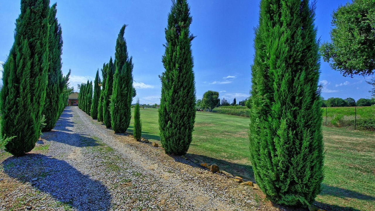 Photo of Outdoor in Le Piazze