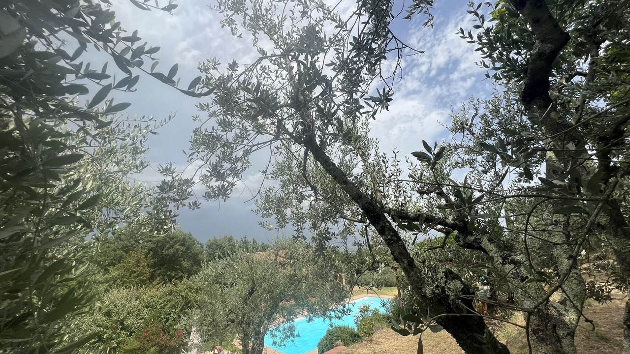 Photo of Outdoor in Foiano della Chiana