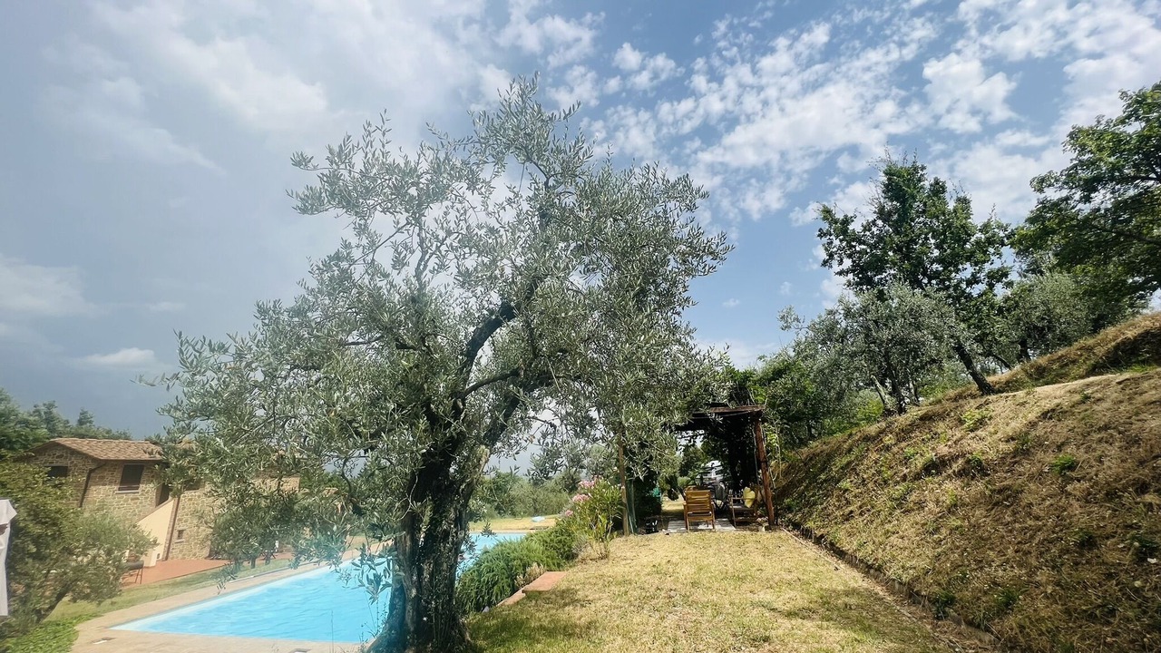 Photo of Outdoor in Foiano della Chiana